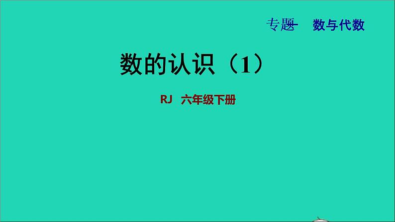 2022六年级数学下册第6单元总复习专题一数与代数第1课时数的认识1授课课件新人教版01