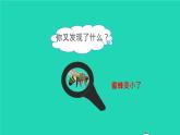2022六年级数学下册第4单元比例第9课时图形的放大与缩小预习课件新人教版