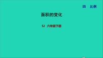 苏教版六年级下册四 比例习题课件ppt