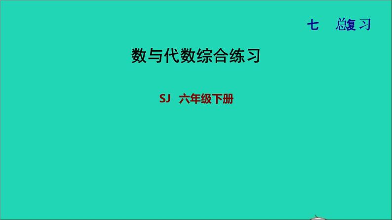 2022六年级数学下册第7单元总复习1数与代数综合练习课件苏教版01