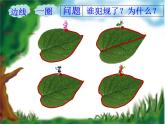 三年級(jí)上冊(cè)數(shù)學(xué)課件－5.1認(rèn)識(shí)周長 ｜青島版（五四制） (共11張PPT)