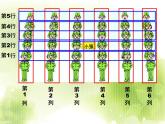 五年级上册数学课件－1.1用数对确定位置｜青岛版（五四制） (共11张PPT)