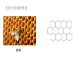 小学数学 北师大版 六年级下册 第三单元第05课时《欣赏与设计 》  课件