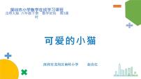 2020-2021学年可爱的小猫图片ppt课件