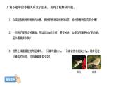 小学数学 北师大版 五年级下 第七单元第03课时《练习六》 课件