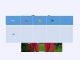 二年级下册数学课件-1数据收集整理-人教版(共15张PPT)