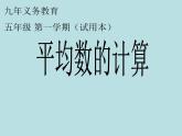 五年级上册数学课件-3.1 统计（平均数）▏沪教版 (共12张PPT)(3)