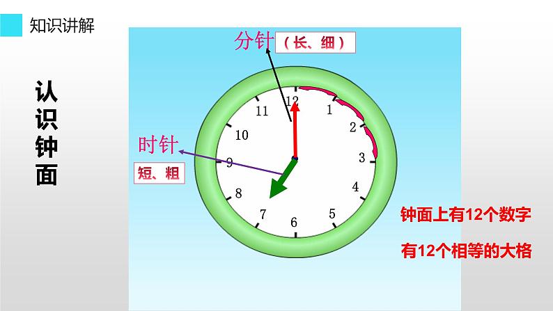 一年级上册数学教学课件-7 认识钟表7-人教版(共10张PPT)04