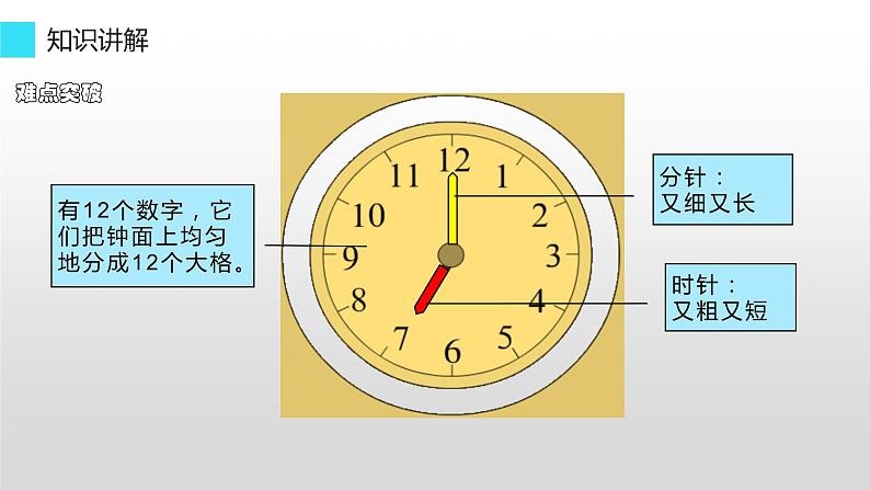 一年级上册数学教学课件-7 认识钟表15-人教版(共12张PPT)04