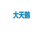 青岛（六三）版数学四上 3.2三位数乘两位数的笔算 课件