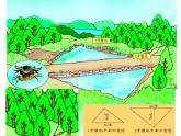 青岛（六三）版数学五上 5.2三角形的面积 课件