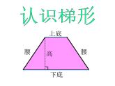 青岛（六三）版数学五上 5.3梯形的面积 课件