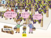青島版五四制數(shù)學(xué)三上 3.2列綜合算式計算加減法和除法的混合運算 課件