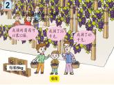 青島版五四制數(shù)學(xué)三上 3.2列綜合算式計算加減法和除法的混合運算 課件