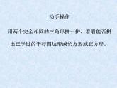 五年级上册数学课件-5.3  三角形的面积  ▏沪教版 (共19张PPT)