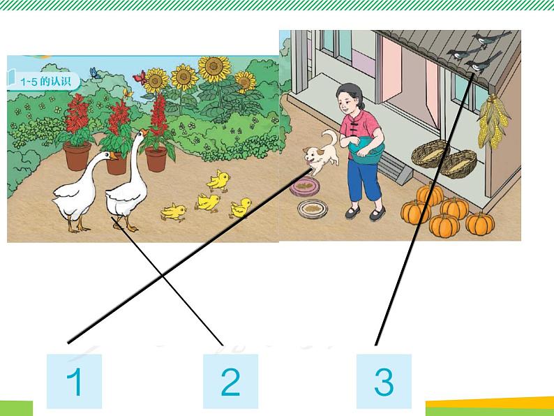 人教版一年级数学上册　第1课时 1～5的认识　课件第6页