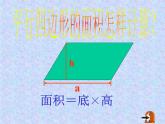 五年級上冊數(shù)學(xué)課件-5.3  三角形的面積  ▏滬教版 (共24張PPT)
