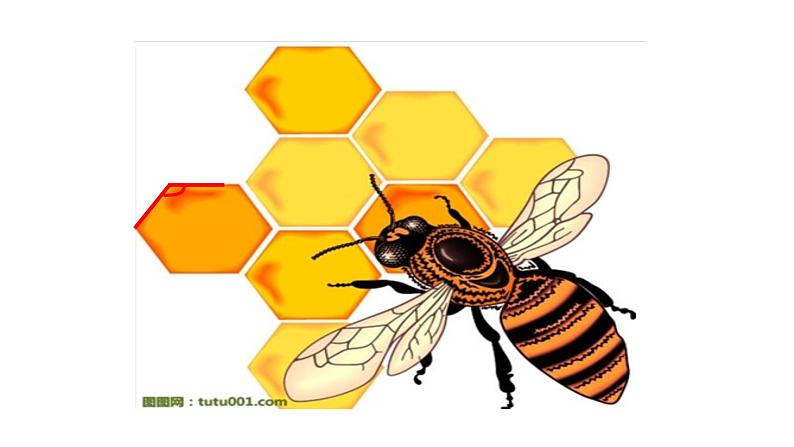 二年级上册数学课件-角与直角２-沪教版(共12张PPT)06