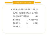 北师大版六年级数学上第一单圆 元第7课时  圆的面积（一）ppt