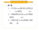 北师大版六年级数学上第一单圆 元第8课时  圆的面积（二）ppt