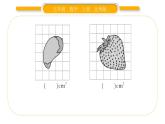 北师大版五年级数学上第六单元组合图形的面积第2课时  探索活动：成长的脚印习题课件