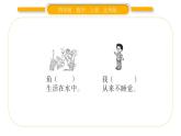 北師大版四年級(jí)數(shù)學(xué)上第八單元可能性第1課時(shí) 不確定性作業(yè)課件