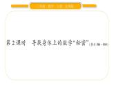 北師大版二年級數(shù)學上數(shù)學好玩第2課時 尋找身體上的數(shù)學“秘密”習題課件