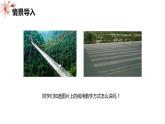蘇教版（新）二上-1.我們身體上的尺 第1課時【優(yōu)質(zhì)課件】