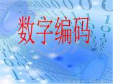 四川省東坡小學(xué)金曉蘭數(shù)字編碼課件