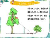 北师大版  六年级上册数学课件-  观察的范围 优质课件