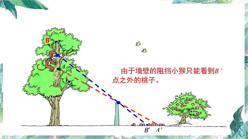 北师大版 六年级上册 观察的范围  精品课件第7页