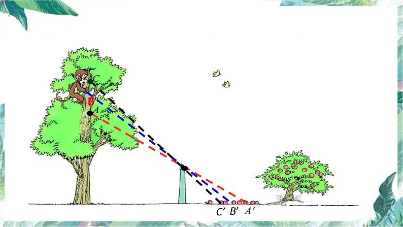 北师大版 六年级上册 观察的范围  精品课件第8页