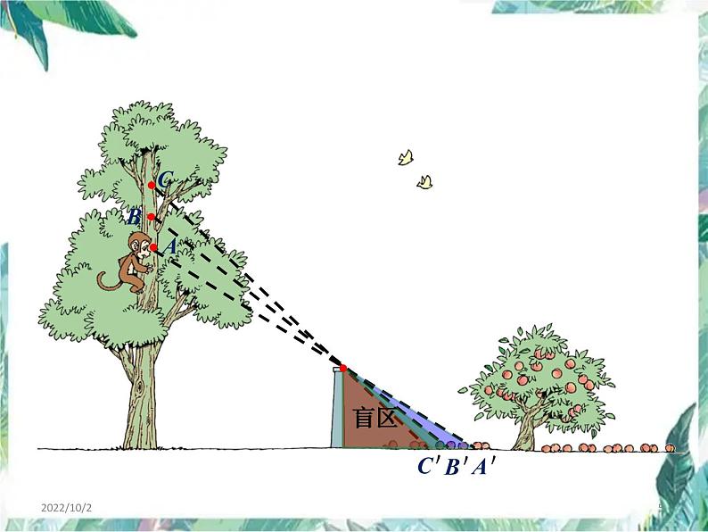 北师大版(六年级上册数学课件-第三单元 观察的范围 优质课件第5页