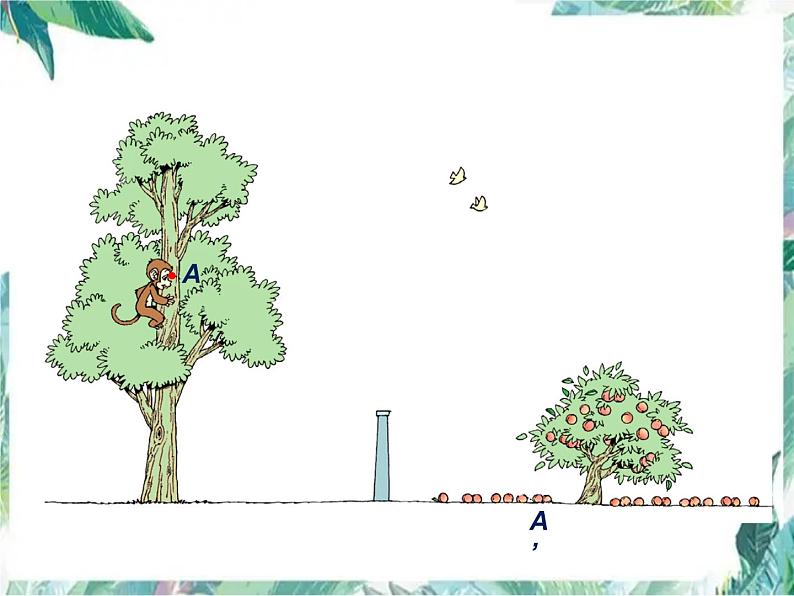 北师大版六年级上册数学课件  观察的范围-优质课件第3页