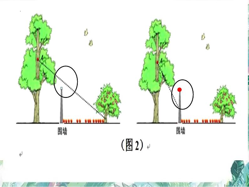 北师大版六年级上册数学课件  观察的范围-优质课件第6页