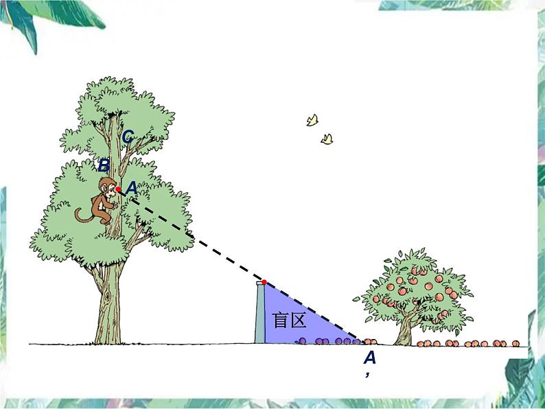 北师大版六年级上册数学课件  观察的范围-优质课件第7页