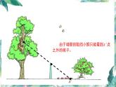 北师大版六年级上册数学《观察的范围》（优质课件）