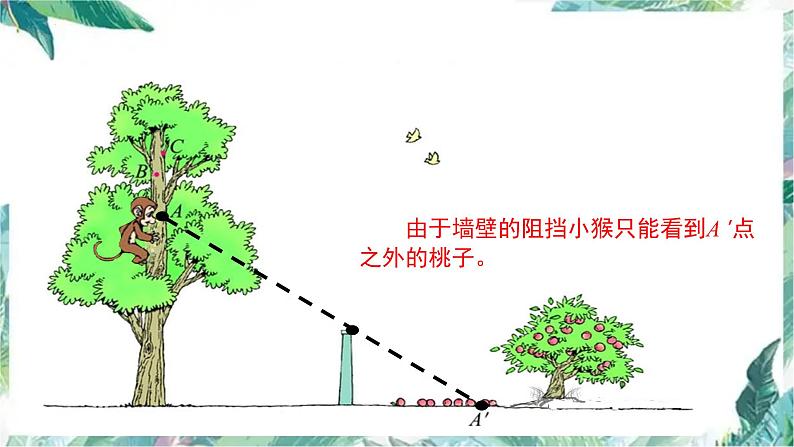 北师大版六年级上册数学《观察的范围》（优质课件）04