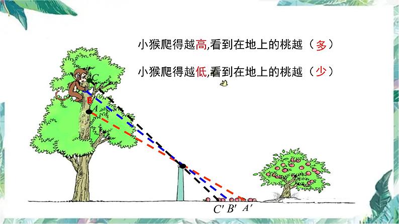 北师大版六年级上册数学《观察的范围》（优质课件）06