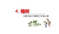 小学数学北师大版三年级上册4 植树集体备课课件ppt