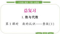 小学数学北师大版六年级下册数与代数复习ppt课件