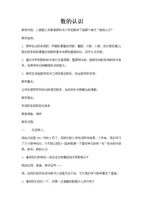 人教版六年级下册数的认识教学设计及反思