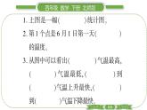 北师大版四年级数学下第六单元数据的表示和分析第 ４ 课时　 找蒜苗(二)习题课件