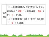 人教版小学数学 五年级上册 4.可能性 作业课件