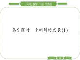 北师大版二年级数学下第五单元加与减第 ９ 课时　 小蝌蚪的成长(１)习题课件