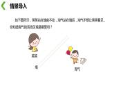 【同步備課】 第三單元 第2課時(shí) 觀察的范圍（課件）小學(xué)數(shù)學(xué)六年級(jí)上冊(cè)（北師大版）