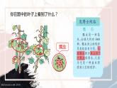 冀教版小学数学二年级上册《7的乘法口诀》PPT课件