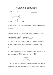 六年级下册数学试题-小升初思维能力训练卷    全国通用  (无答案）