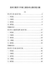 新北师大数学六年级上册各单元专题强化练习附答案