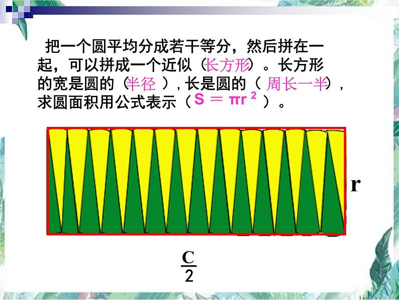 人教版 六年级上册 《圆的周长和面积的复习》优质课件第5页